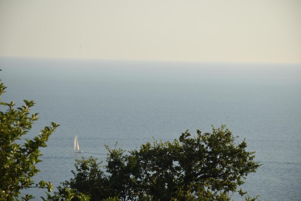 Villa Coast Of Montenegro Bar Buitenkant foto